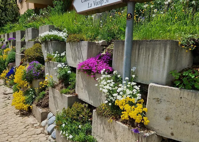 Appartement Chesa Bellaval, Haus La Vuolp 2-zimmerwohnung Silvaplana